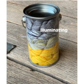 KPPPM PAINT CAN 5x25g - Illuminating